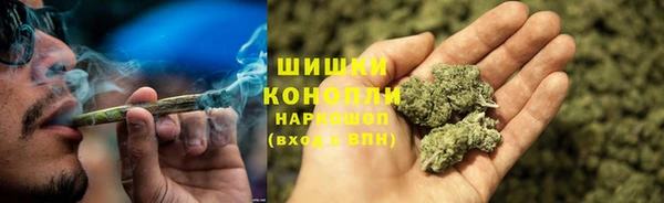 шишки Богородск