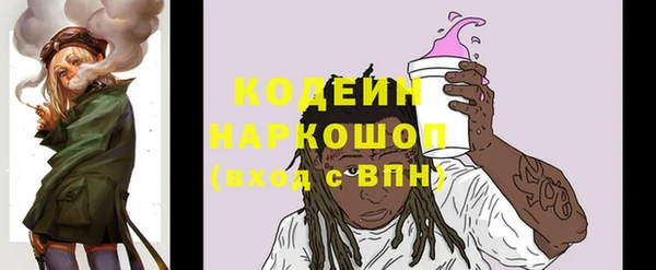 шишки Богородск
