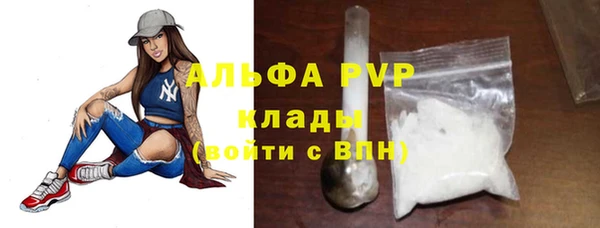 шишки Бородино