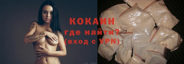 шишки Бородино