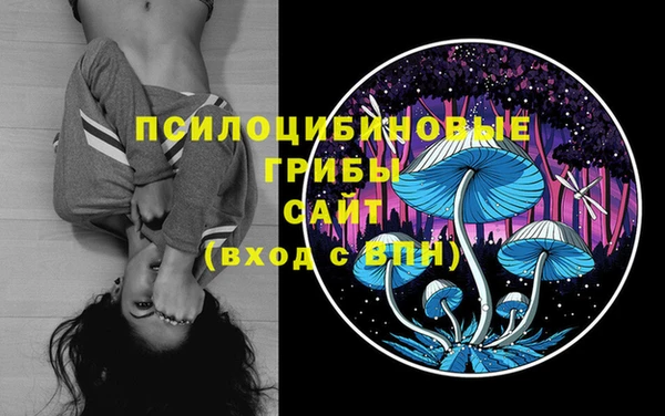 шишки Богородск