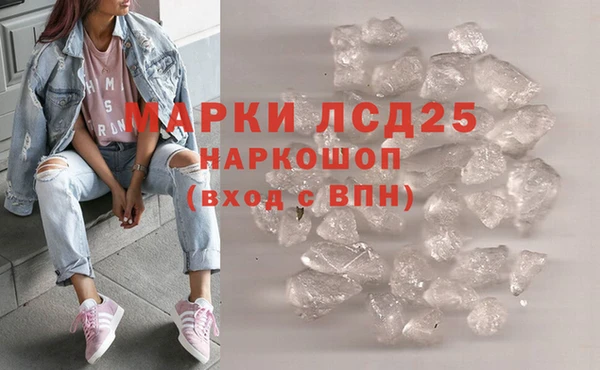 молекула духа Богданович