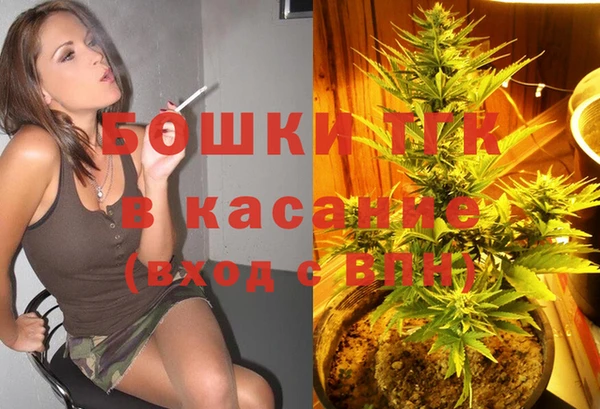 молекула духа Богданович