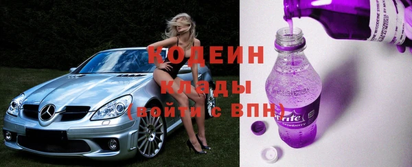 молекула духа Богданович