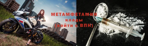 шишки Бородино
