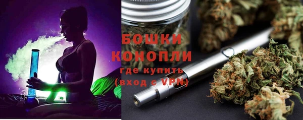шишки Богородск