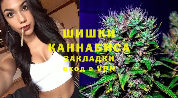 шишки Бородино